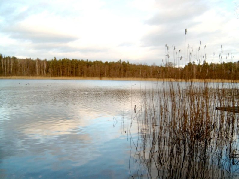 Blick auf den Steckelsdorfer See