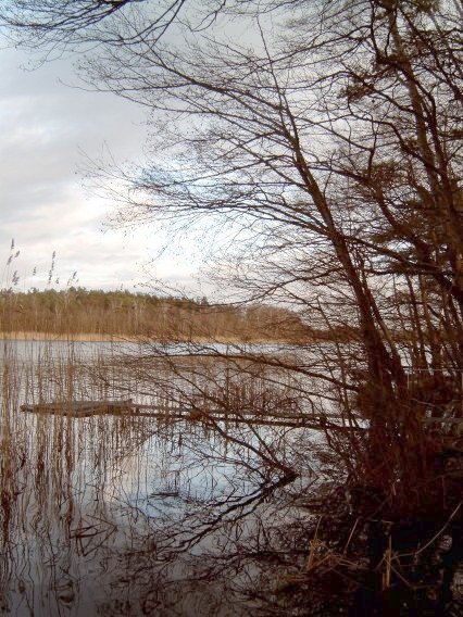 Blick auf den Steckelsdorfer See