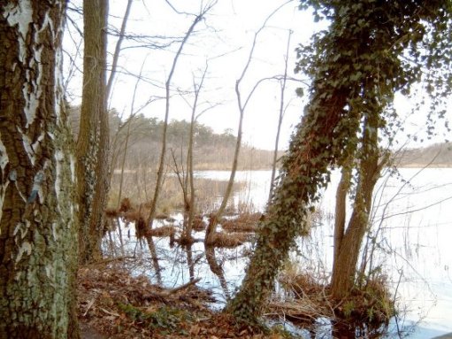 Blick auf den Steckelsdorfer See