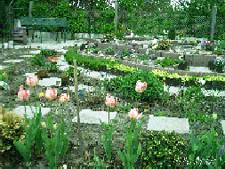 Gartenansicht